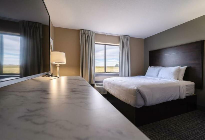 חדר סטנדרט, Cobblestone Inn & Suites  Trenton