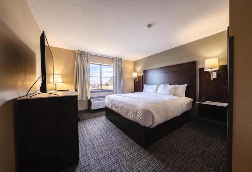 חדר סטנדרט עם מיטת קינג, Cobblestone Inn & Suites  Trenton