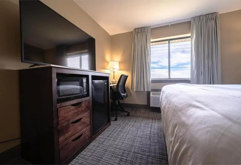 身障者適用キングサイズベッドルーム, Cobblestone Inn & Suites  Trenton