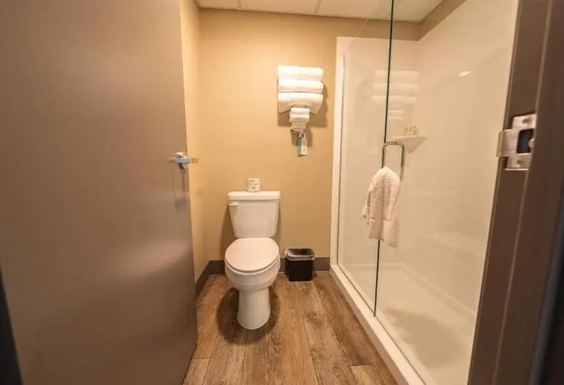 キングサイドベッドのスタンダードワンルーム, Cobblestone Inn & Suites  Trenton