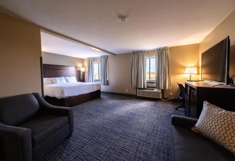 스탠다드 스튜디오 킹침대, Cobblestone Inn & Suites  Trenton