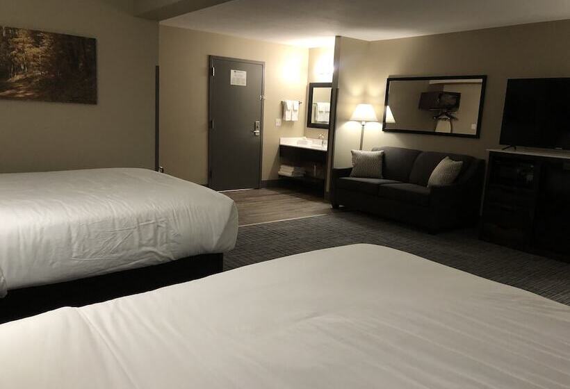 חדר סטודיו סטנדרד, Cobblestone Inn & Suites  Trenton