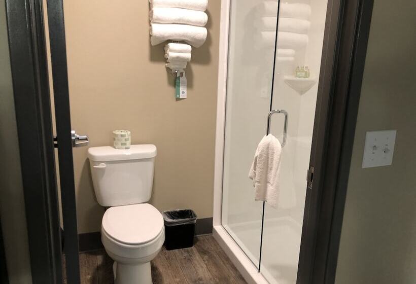 חדר סטודיו סטנדרד, Cobblestone Inn & Suites  Trenton