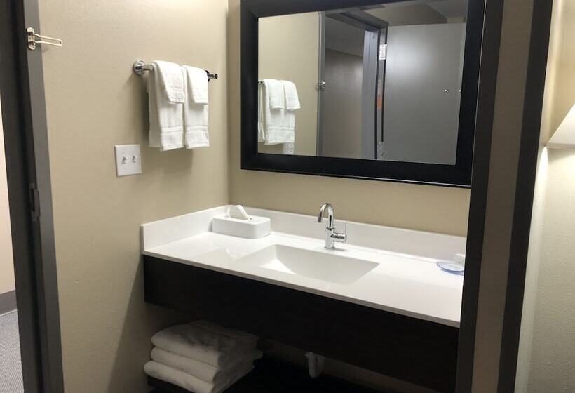 חדר סטודיו סטנדרד, Cobblestone Inn & Suites  Trenton