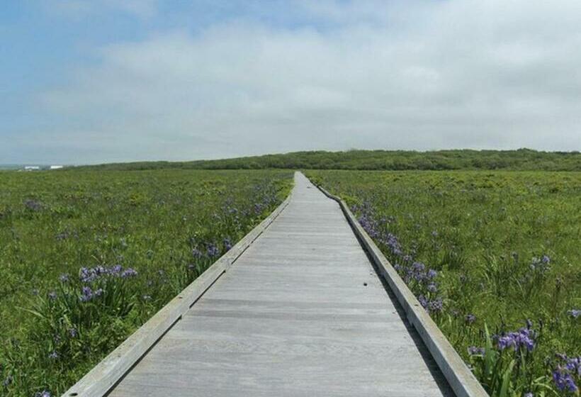 スタンダードシングルルーム, Tabist Hotel Nemuro Kaiyoutei