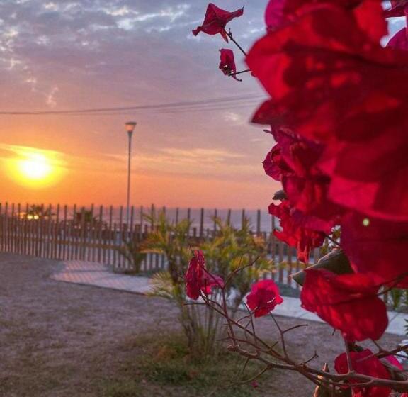 اتاق استاندارد سه نفره, Delfines De Chicama