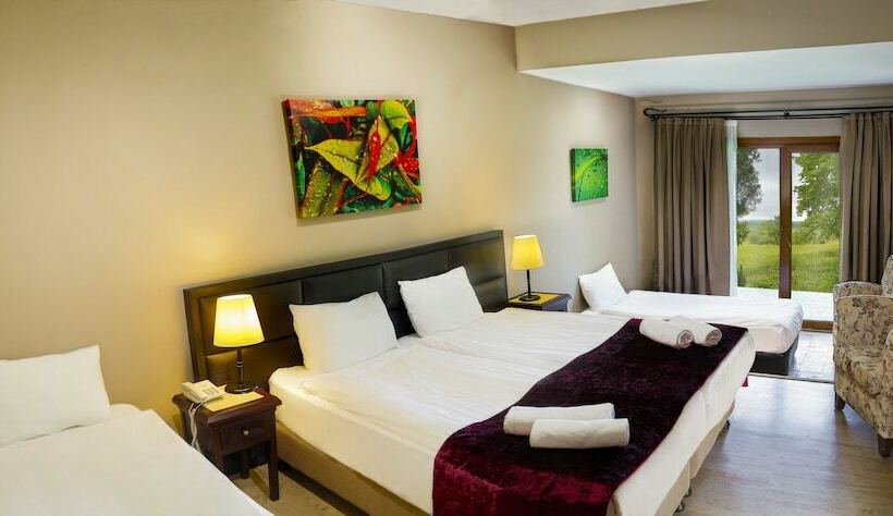 标准房带园景, İstanbul Airport Durusu Club