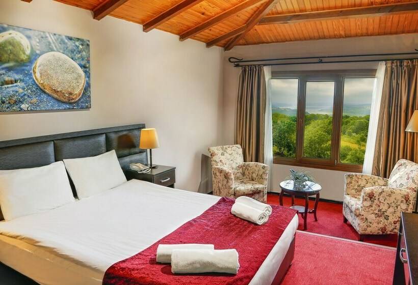 标准间带湖景, İstanbul Airport Durusu Club