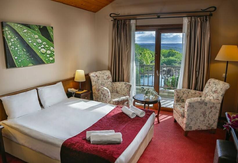 标准间带湖景, İstanbul Airport Durusu Club