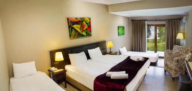 标准房带园景, İstanbul Airport Durusu Club