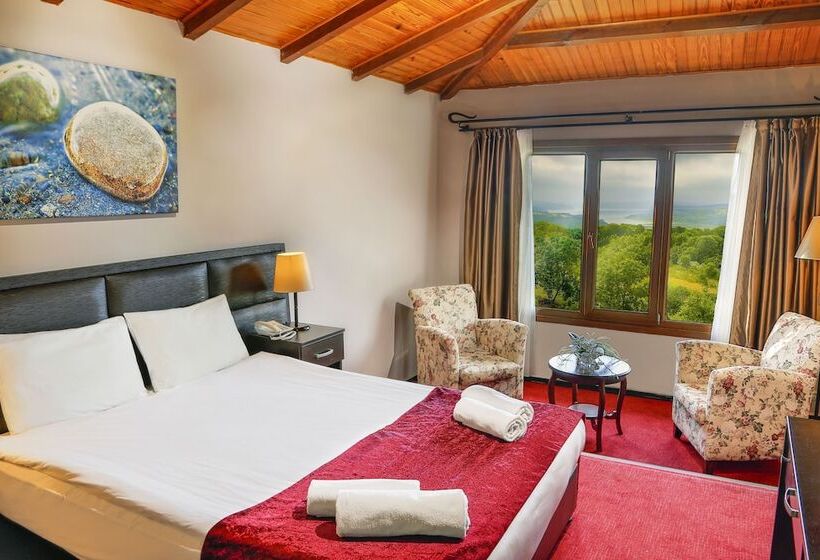 标准间带湖景, İstanbul Airport Durusu Club