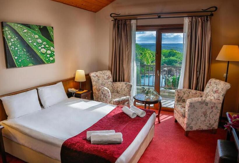 带园景的单人房, İstanbul Airport Durusu Club