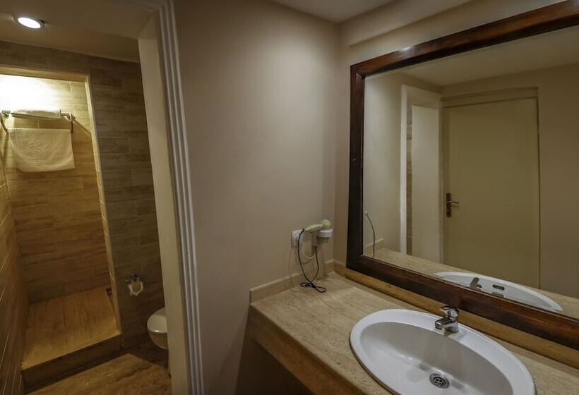 标准房带园景, İstanbul Airport Durusu Club