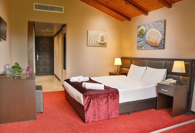 标准房带园景, İstanbul Airport Durusu Club