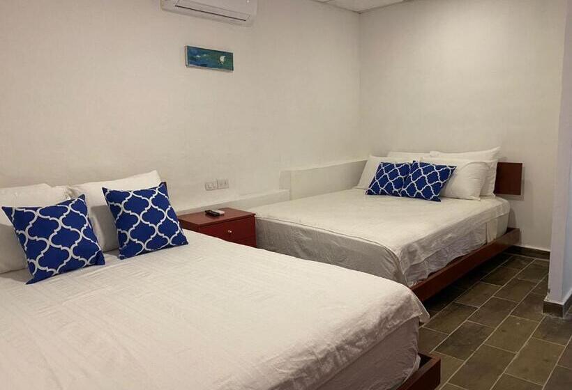 디럭스 룸, Olas Permanentes El Zonte