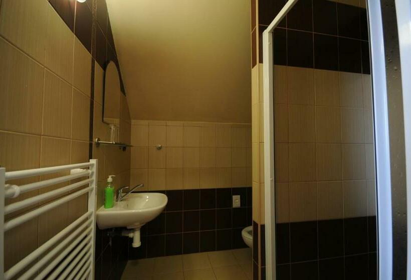 Номер Стандарт Индивидуальный, Penzion Zivka