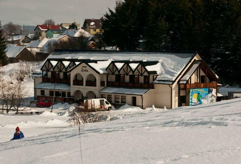 Номер Стандарт Индивидуальный, Penzion Zivka