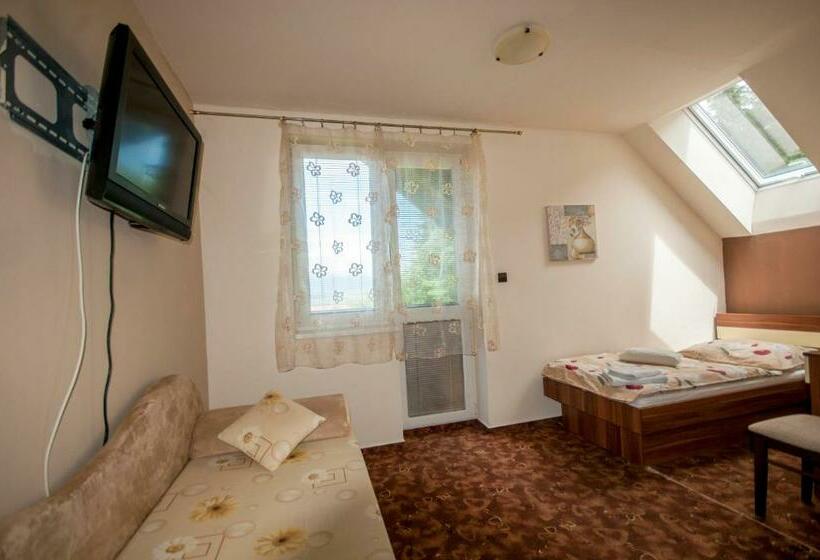 Номер Стандарт Индивидуальный, Penzion Zivka