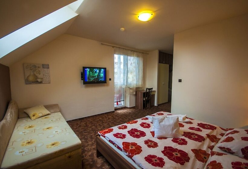 Номер Стандарт Индивидуальный, Penzion Zivka