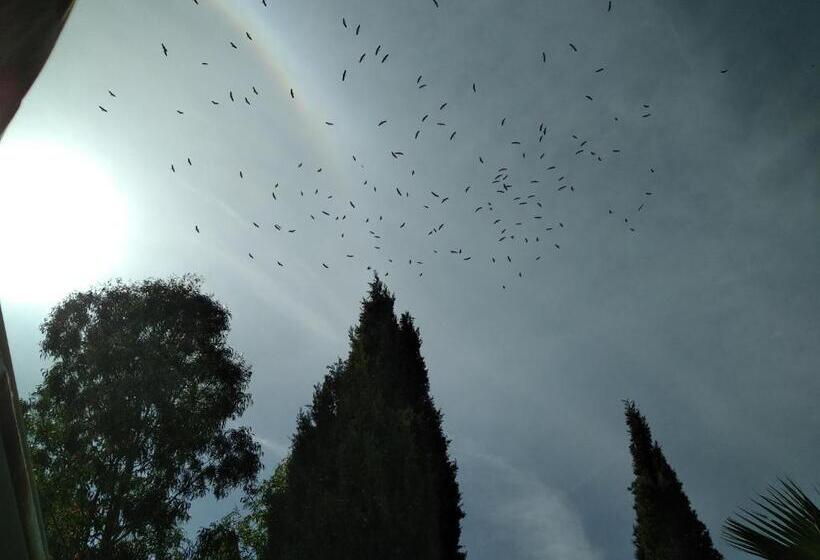 Номер Стандарт, Villa Le Clos Fleuri