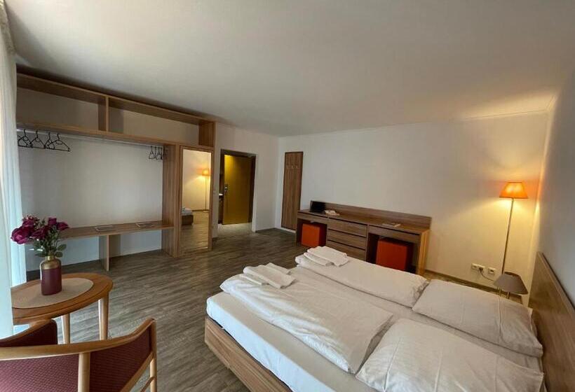 Номер Superior, Eurotel Am Main