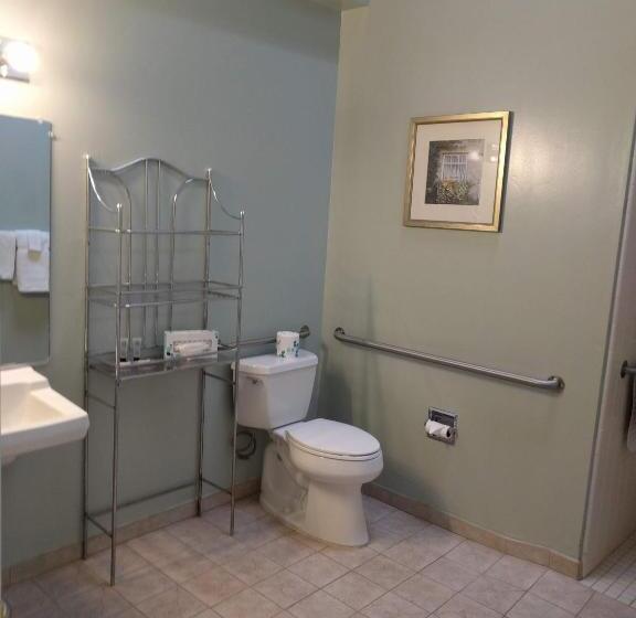 غرفة قياسية سرير كينج لذوى الإحتياجات الخاصة, Butterfly Grove Inn