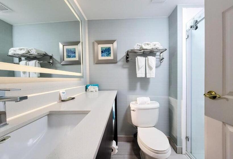 스위트 킹사이즈 침대, Holiday Inn   Belcamp   Aberdeen Area, An Ihg