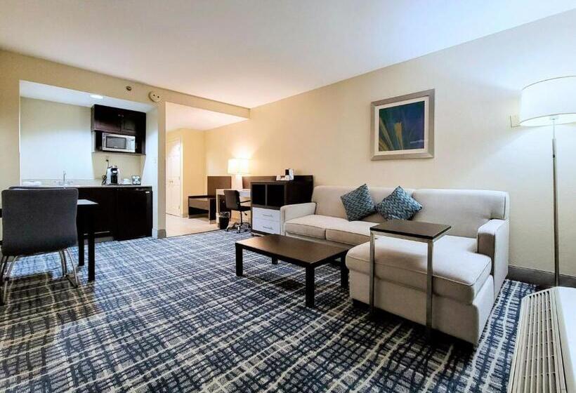 스위트 킹사이즈 침대, Holiday Inn Belcamp Aberdeen Area, An Ihg