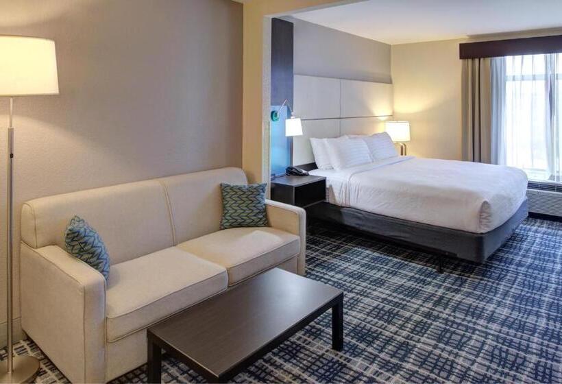 스탠다드 룸 킹사이즈 침대, Holiday Inn Belcamp Aberdeen Area, An Ihg
