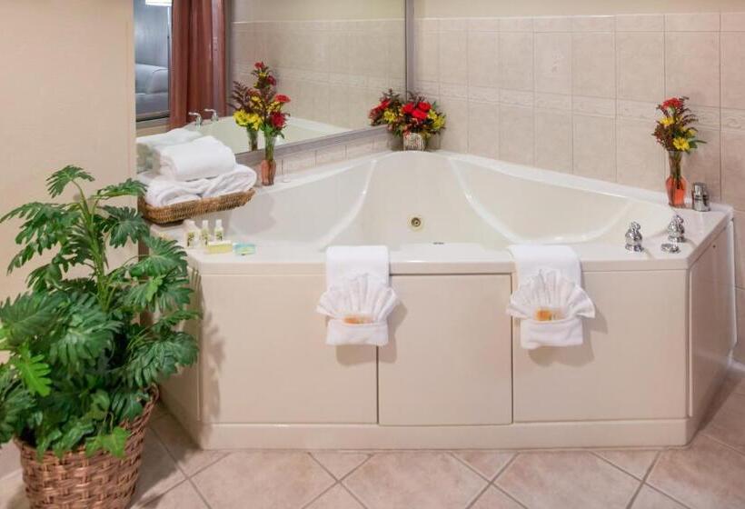 스위트 킹사이즈 침대, Holiday Inn Belcamp Aberdeen Area, An Ihg