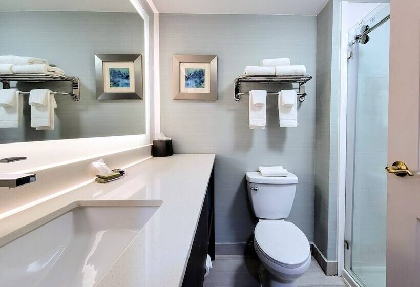 스탠다드 룸, Holiday Inn Belcamp Aberdeen Area, An Ihg