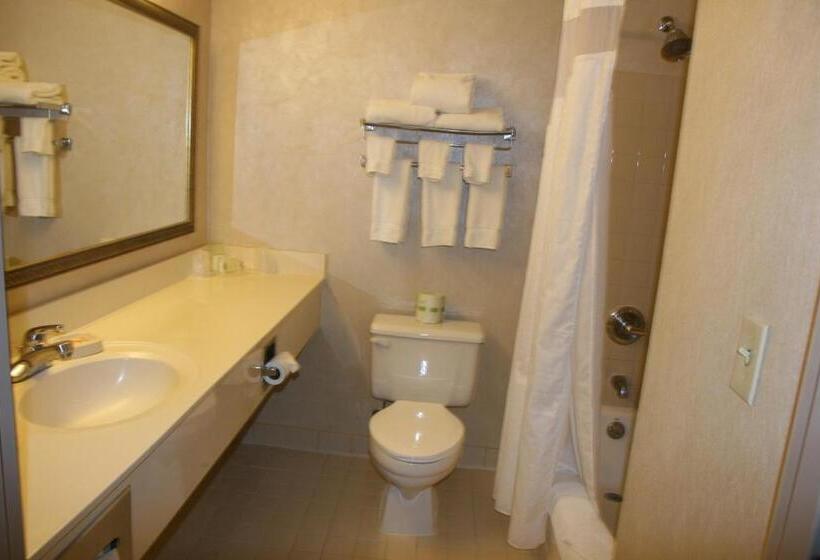 מיטת קינג בסוויטה, Holiday Inn Budd Lake   Rockaway Area, An Ihg
