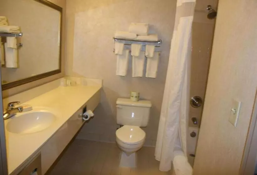 キングサイズベッドのスイートルーム, Holiday Inn Budd Lake   Rockaway Area, An Ihg