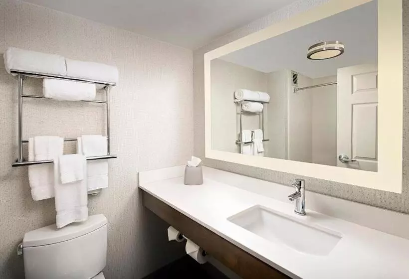 اتاق استاندارد, Holiday Inn Express & Suites Baltimore   Bwi Airport North, An Ihg