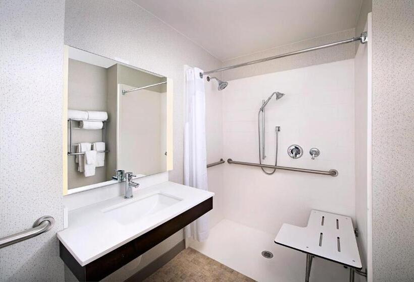 장애인을 위한 킹사이즈 침대 스탠다드 룸, Holiday Inn Express & Suites Baltimore Bwi Airport North, An Ihg