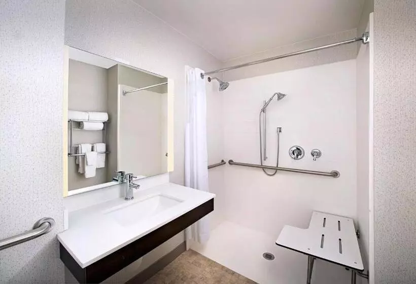 اتاق استاندارد با تخت بزرگ برای معلولان, Holiday Inn Express & Suites Baltimore   Bwi Airport North, An Ihg
