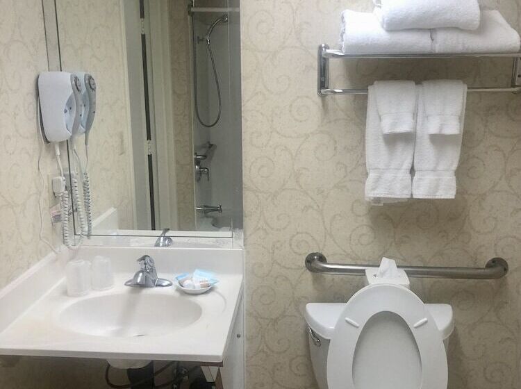 اتاق استاندارد با تخت دو نفره بزرگ برای معلولان, Princess Bayside Beach