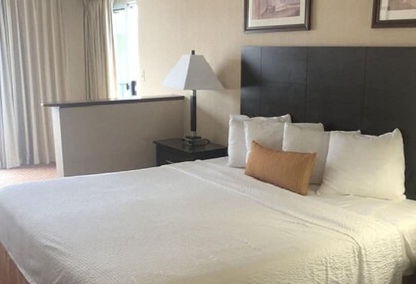 带大床的标准间, Princess Bayside Beach