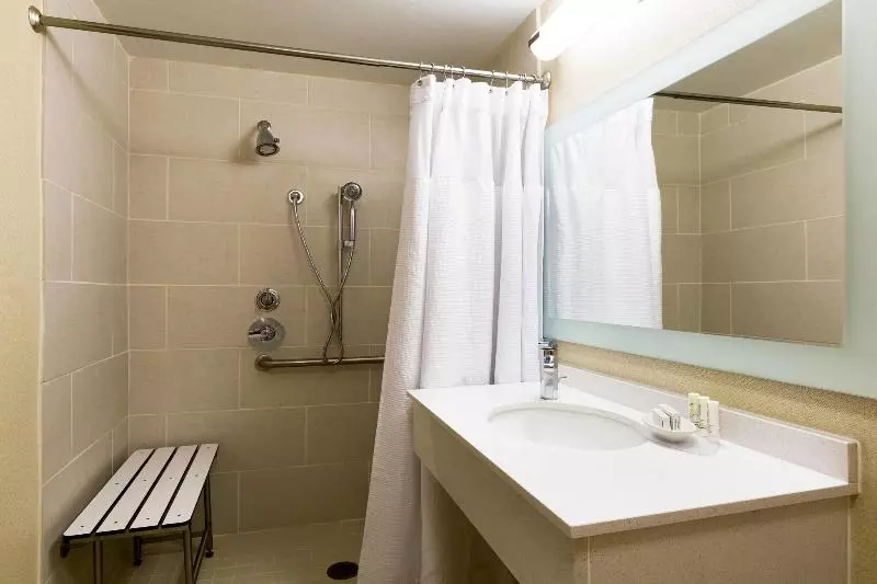 سوئیت با تخت بزرگ, Springhill Suites Austin South