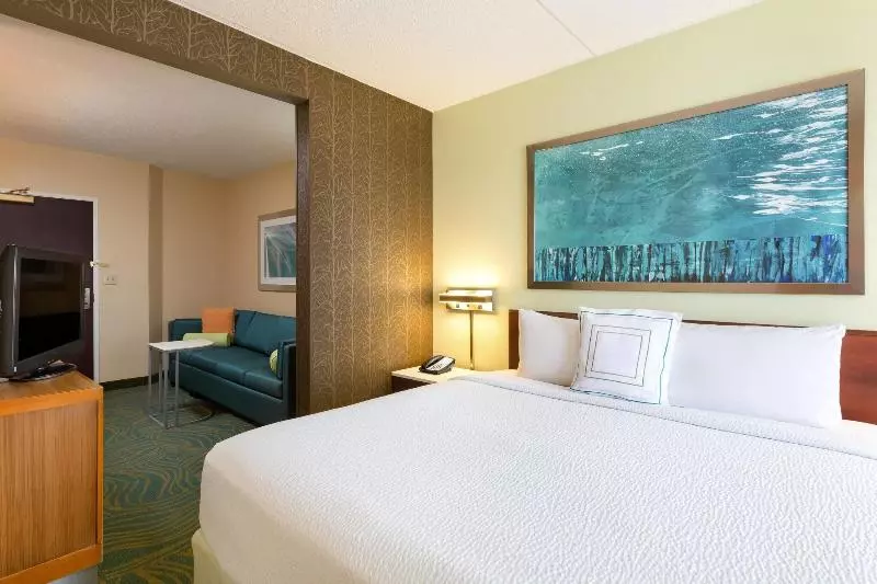 سوئیت با تخت بزرگ, Springhill Suites Austin South