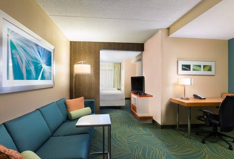 Люкс Адаптированный для Инвалидов, Springhill Suites Austin South
