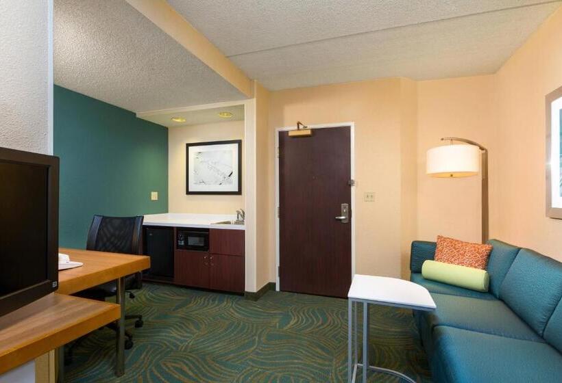 Люкс Кровать Кинг, Springhill Suites Austin South
