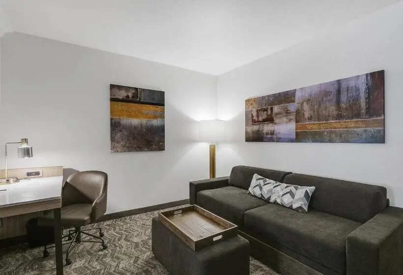 سوئیت با تخت بزرگ, Springhill Suites By Marriott Sacramento Natomas