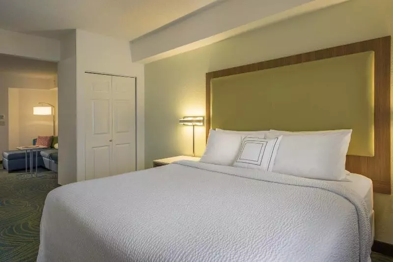 キングサイドベッドのスタンダードワンルーム, Springhill Suites By Marriott Charlotte Airport