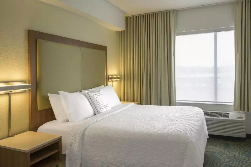 キングサイドベッドのスタンダードワンルーム, Springhill Suites By Marriott Charlotte Airport
