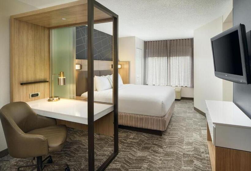 이그제큐티브 스튜디오, Springhill Suites Edgewood Aberdeen