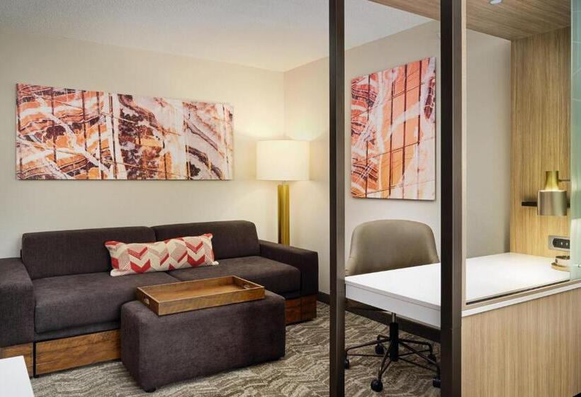 이그제큐티브 스튜디오, Springhill Suites Edgewood Aberdeen