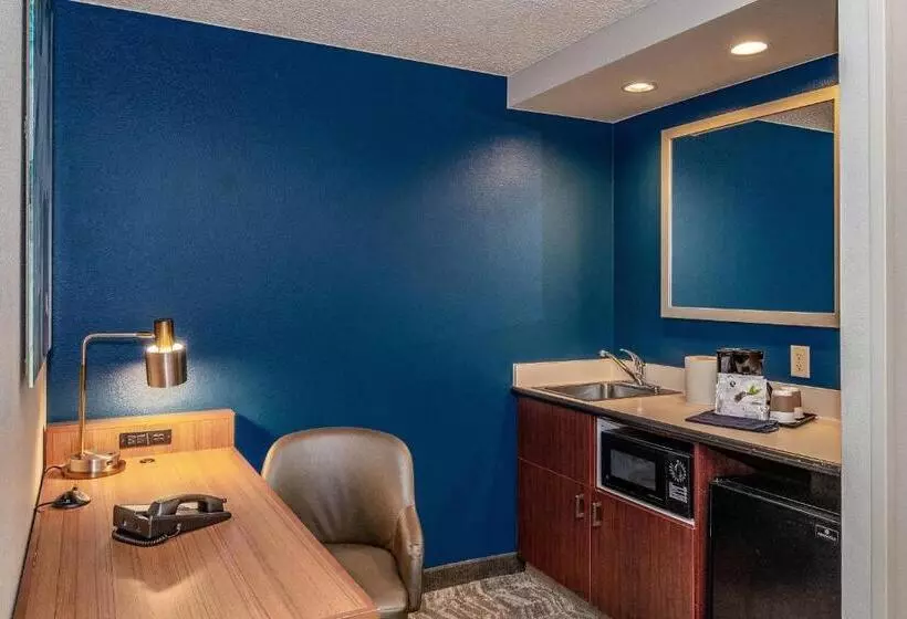 身障者適用スイートルーム, Springhill Suites By Marriott Fairbanks