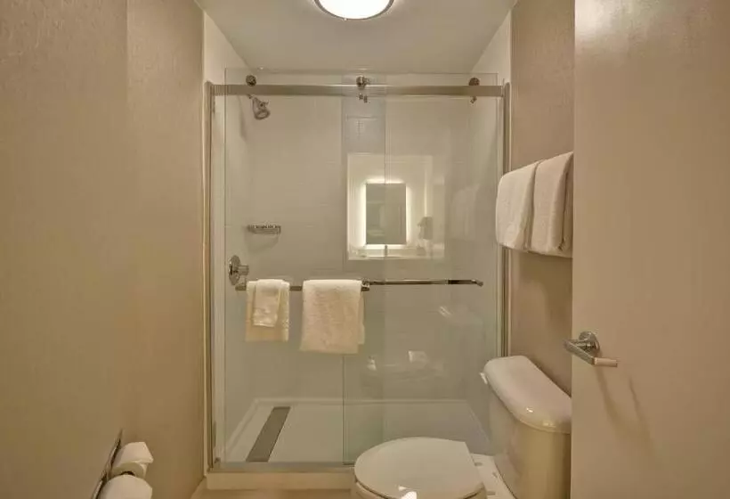キングサイズベッドのスイートルーム, Springhill Suites Lexington Near The University Of Kentucky