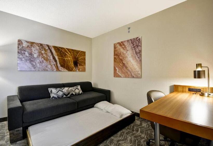 מיטת קינג בסוויטה, Springhill Suites Lexington Near The University Of Kentucky